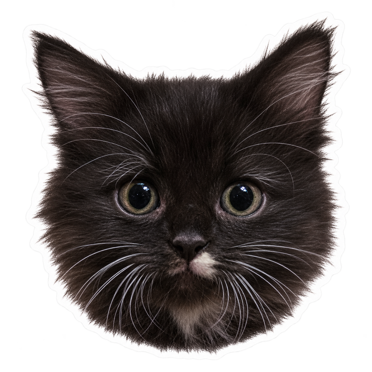 Miko